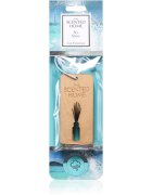 Ashleigh & Burwood London Sea Spray dišava za avto 2 kos
