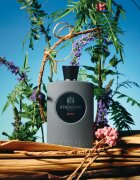 Atkinsons James parfumska voda za moške 100 ml