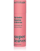 Attitude Super Leaves Lip Balm balzam za ustnice z vonjem lubenice Watermelon 8.5 g