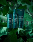 Aveda Botanical Repair™ Pre-Shampoo nega pred šamponiranjem za poškodovane lase 150 ml