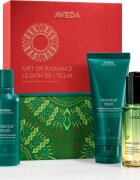 Aveda Holiday Gift of Radiance Botanical Repair™ and Miraculous Oil darilni set za lase
