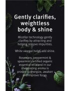 Aveda Rosemary Mint Weightless Conditioner blag negovalni balzam za sijaj in mehkobo las 50 ml