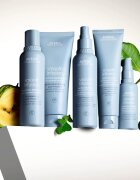 Aveda Smooth Infusion™ Perfect Blow Dry gladilno pršilo za sušenje s sušilcem proti krepastim lasem 50 ml