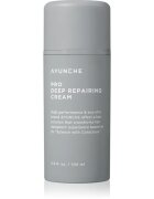 AYUNCHE Pro Deep Repairing Cream globinsko regeneracijska krema za poškodovane lase 100 ml