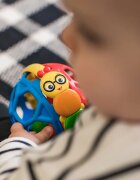 Baby Einstein Bendy Ball grizalo 3 m+ 1 kos