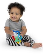Baby Einstein Ocean Explorers Sea of Sensory Teether Toy grizalo 3 m+ 1 kos