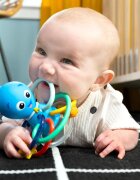 Baby Einstein Opus's Shake & Soothe Teether Toy & Rattle grizalo z ropotuljico 0 m+ 1 kos