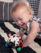 Baby Einstein Zen the Zebra™ Curious Car avtomobilček z ropotuljico 3 m+ 1 kos