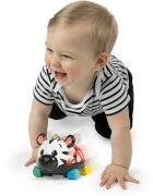 Baby Einstein Zen the Zebra™ Curious Car avtomobilček z ropotuljico 3 m+ 1 kos