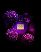 Banderas Her Secret Desire toaletna voda za ženske 80 ml