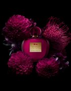 Banderas Her Secret Temptation toaletna voda za ženske 50 ml