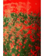 Baobab Collection Arty Flowers Poppies dišeča sveča 1000 g