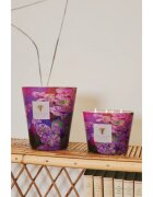 Baobab Collection Arty Flowers Water Lily dišeča sveča 500 g