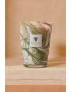 Baobab Collection Leaves Marius dišeča sveča 1000 g