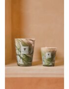 Baobab Collection Leaves Marius dišeča sveča 1000 g