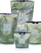 Baobab Collection Leaves Marius dišeča sveča 1000 g