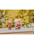 Baobab Collection Monaco dišeča sveča 3000 g