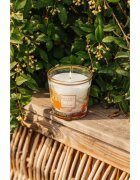 Baobab Collection My First Baobab À Saint-Tropez dišeča sveča 190 g