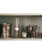 Baobab Collection My First Baobab Brussels darilni set