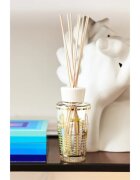 Baobab Collection My First Baobab Miami aroma difuzor s polnilom 250 ml