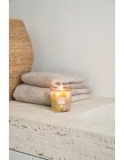 Baobab Collection My First Baobab Miami dišeča sveča 190 g