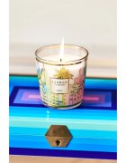 Baobab Collection My First Baobab Miami dišeča sveča 190 g