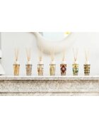 Baobab Collection My First Baobab Roma aroma difuzor s polnilom 250 ml