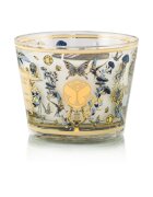 Baobab Collection My First Baobab Tomorrowland dišeča sveča 500 g