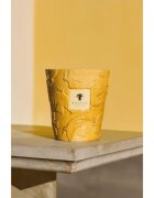 Baobab Collection Paz Dove dišeča sveča 1000 g