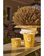 Baobab Collection Paz Dove dišeča sveča 1000 g