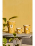 Baobab Collection Paz Dove dišeča sveča 1000 g