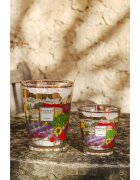 Baobab Collection Provence dišeča sveča 1000 g