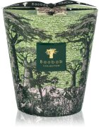 Baobab Collection Sacred Trees Touba dišeča sveča 1100 g