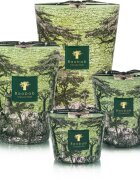 Baobab Collection Sacred Trees Touba dišeča sveča 1100 g