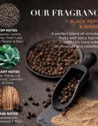 Baylis & Harding Black Pepper & Ginseng darilni set kovinska škatla za moške