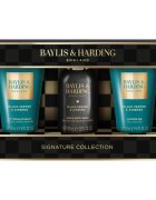 Baylis & Harding Black Pepper & Ginseng darilni set za obraz telo in lase za moške