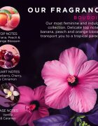 Baylis & Harding Boudoire Tropical Paradise darilni set kovinska škatla