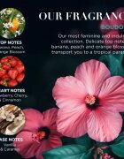 Baylis & Harding Boudoire Tropical Paradise darilni set kozmetična torbica