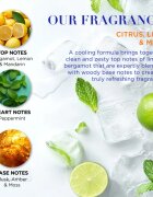 Baylis & Harding Men's Citrus Lime & Mint darilni set za moške