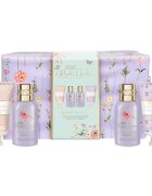 Baylis & Harding Royale Garden Lavender & Rose Hip Tea darilni set za telo in lase