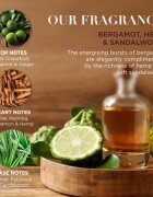 Baylis & Harding The Fuzzy Duck Bergamot Hemp & Sandalwood darilni set za moške