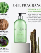Baylis & Harding Vetiver Cedar & Lemongrass Anti-Bacterial tekoče milo za roke 500 ml