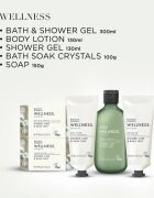 Baylis & Harding Wellness. Energise darilni set Ginger Lime & Basil Leaf