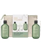 Baylis & Harding Wellness. Energise darilni set za telo Ginger Lime & Basil Leaf