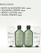 Baylis & Harding Wellness. Energise darilni set za telo Ginger Lime & Basil Leaf