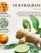 Baylis & Harding Wellness. Energise darilni set za telo Ginger Lime & Basil Leaf
