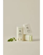 Beauty of Joseon Matte Sun Stick Mugwort + Camelia krema za sončenje v paličici SPF 50+ 18 g