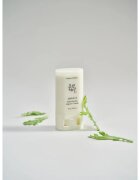 Beauty of Joseon Matte Sun Stick Mugwort + Camelia krema za sončenje v paličici SPF 50+ 18 g