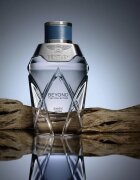 Bentley Beyond The Collection Exotic Musk parfumska voda za moške 100 ml
