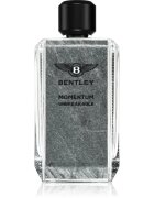 Bentley Momentum Unbreakable parfumska voda za moške 100 ml